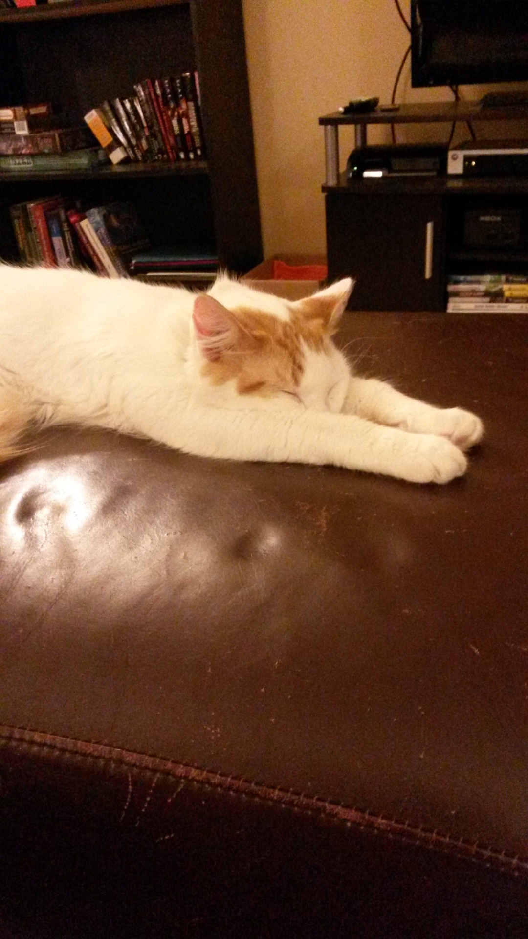 cute-overload:  Dan is happy to be home. 