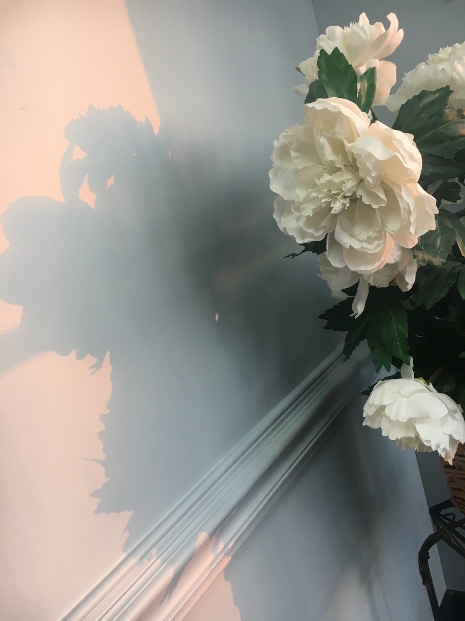 candiedlemons:  ✨flowers and sunshine✨