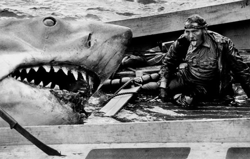 Jaws crew with Bruce the Shark