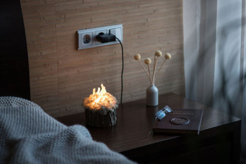 boredpanda:    We Make Unique Lamps From Real Crystals And Moss