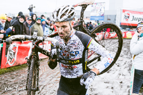 Niels Albert at 2014 Superprestige #7 Hoogstraten.