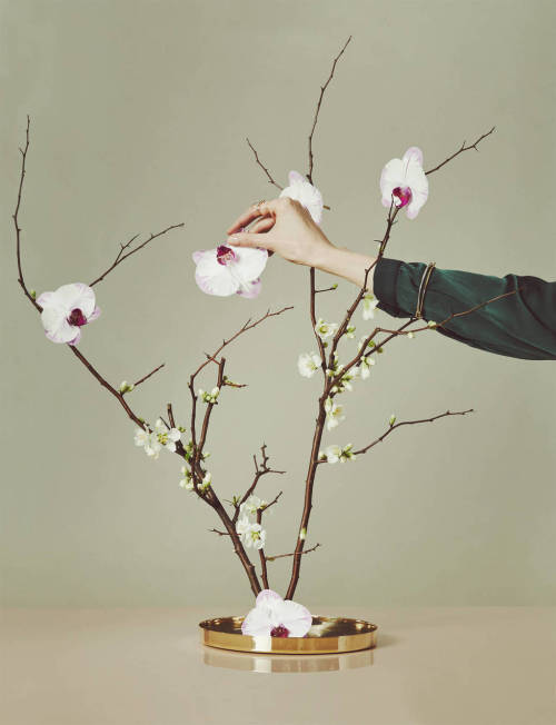 {Monday Mix: floral arrangements inspired by Ikebana.} viaH&H is on Pinterest