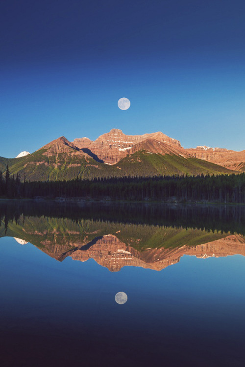 alecsgrg:  Tranquility | ( by David D )