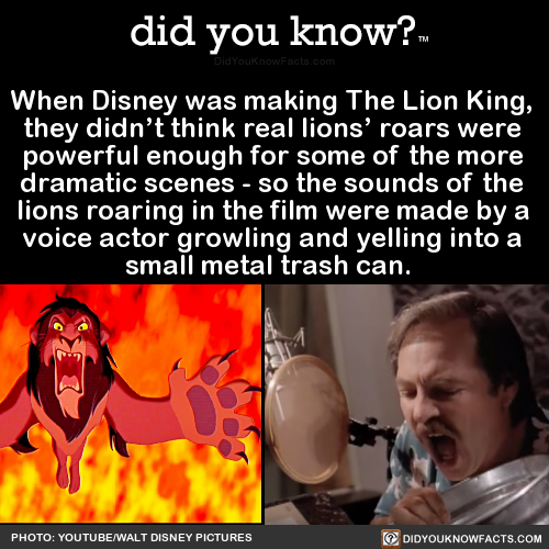 did-you-kno:When Disney was making The Lion King, they didn’t think real lions’ roars were powerful 