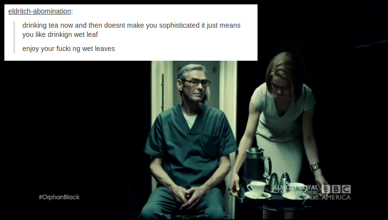tinysociopathshaw:  rachel duncan + tumblr 