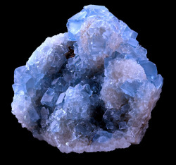 hematitehearts:  FluoriteLocality: Blanchard Claims, Bingham, Socorro County, New Mexico, United States of AmericaSize: 7 × 7.5 × 5.5 cm