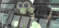  gaga making her monkey wave+ 