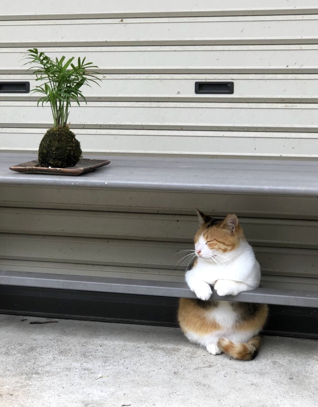 Awwwww - how she sits