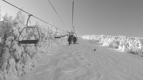 From the lift. Warren, VT