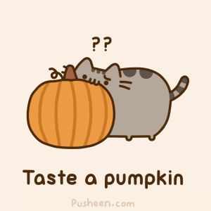 pumpkin lol October is pumpkin❤️