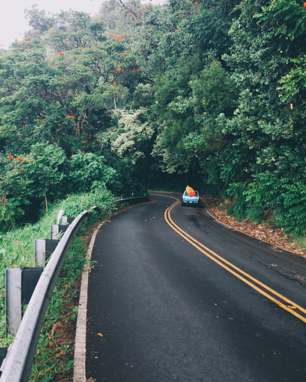 may-u-mi:  The Road to (and from) Hana, Maui. Hawaii, July 2014.