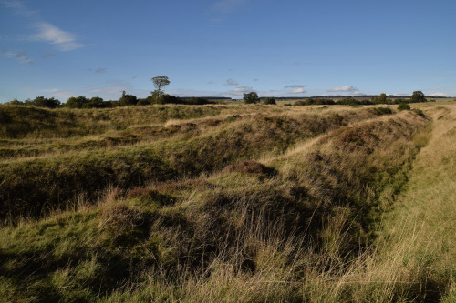 Ardoch Roman Fort, Kaims Castle Roman Fortlet and Muir O’ Fauld Watchtower | Gask Ridge, Perth