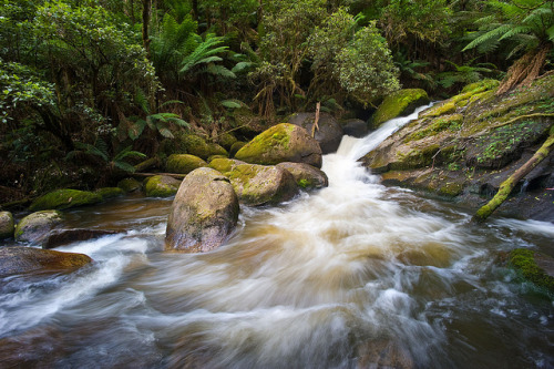 Torongo River West Gippsland by laurie.g.w on Flickr.