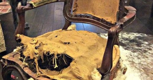 #BagoesTeakFurniture 5 steps to reupholstering a chair, crafts, diy, home decor, how to, painted fur