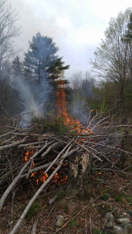 phoenixfloe:organichaos:Conjuring piles of fire with my many toothed magic metal wand ~ ✨Come play w