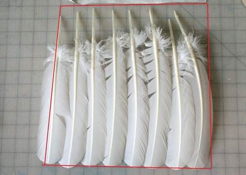 How Many Feathers Do I Need For My Project?