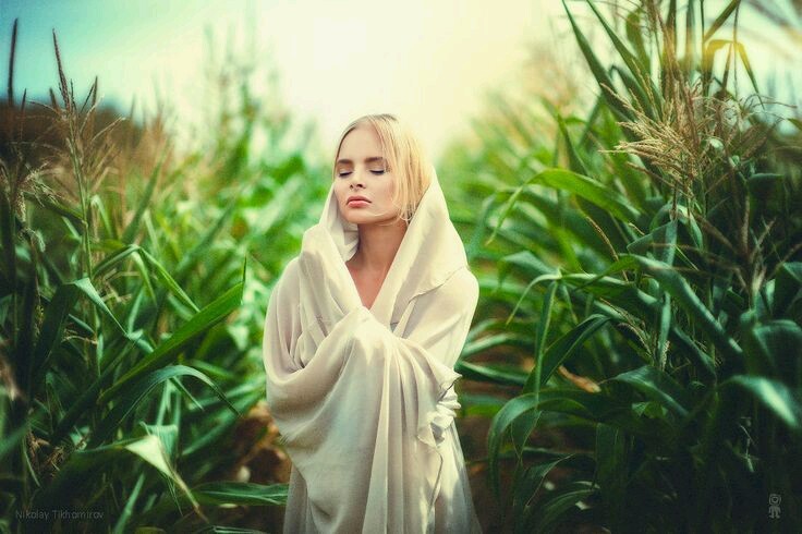 gardenofelegance:  Garden of Eleganceಌ 