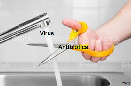 Please stop using antibiotics for the flu (This is for our project to notify people)