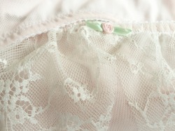 fawnsandlilies:  details on the lingerie