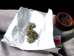 baked-pamplemousse:  Rollin the road joint.