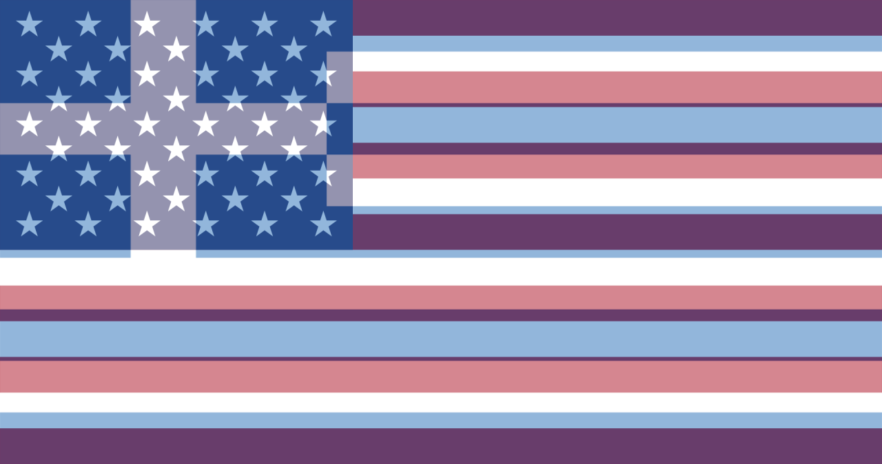 The flag of the USA but also greece stretched to fit the dimensions of it and somehow combining them made multiple little netherlands flagsfrom /r/vexillologycirclejerk
Top comment: Is this the Trans pride flag?