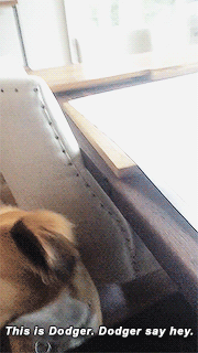 jermainecoles:  “Camera shy.” 