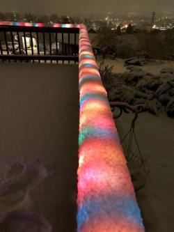 sixpenceee:Christmas lights under snow. By shwarznegger