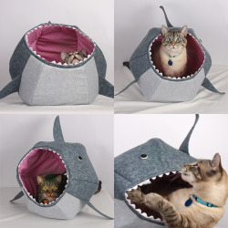 pedalfar:  Enter to Win a Great White Shark Ball Kitty Bed from The Cat Ball! — hauspanther