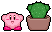 kirby plant