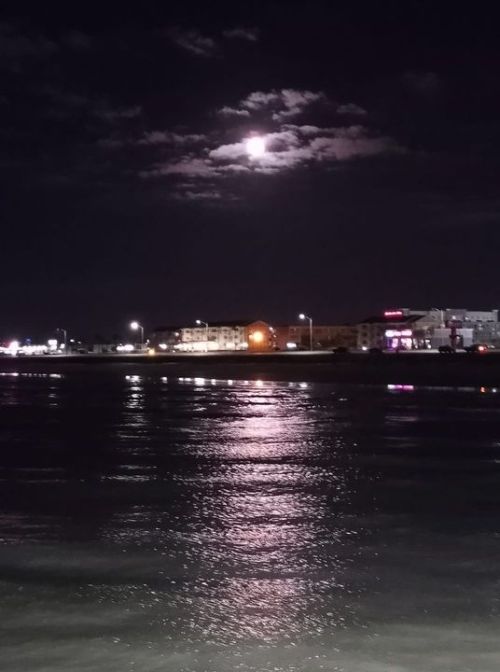 61ststreetfishingpier