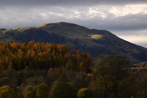 Autumnal Shades around Ben Ledi, TrossachsWe caught Autumn at its Best while going up Ben Ledi in th
