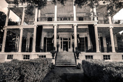 americanhorrorstoryonfx:  Call us, email us, or just come to New Orleans. There is a home, and a family waiting for you.