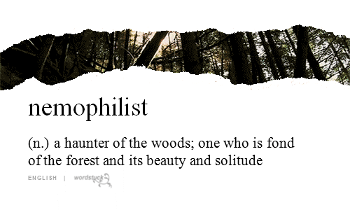 queenofcups-crimsonlioness:Nemophilist. That’s me.