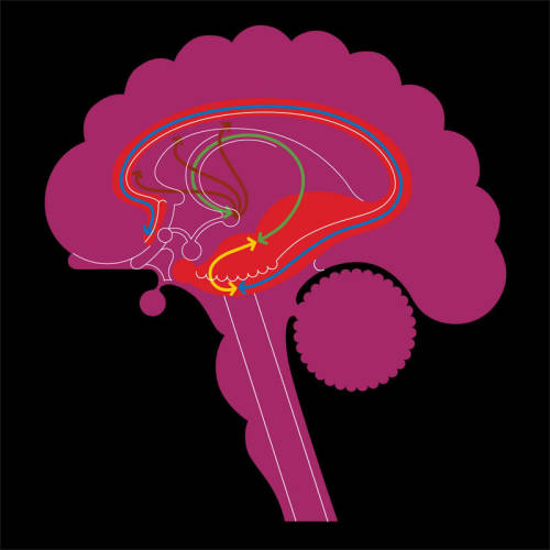 Mervyn Kurlansky, book design for the drug Nobrium: Towards True Precision in the Control 