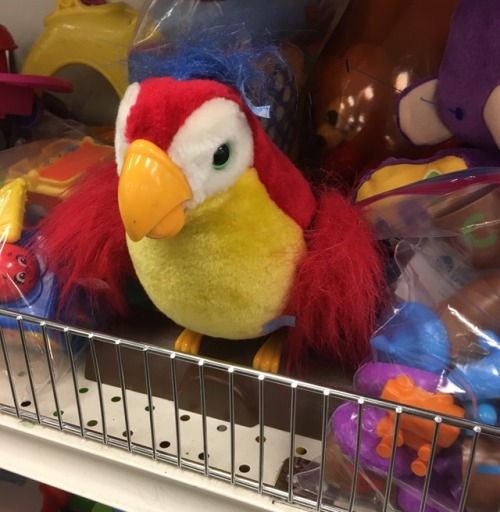 I have a personal hatred for this animatronic bird because I tripped over one of these at a friend&r