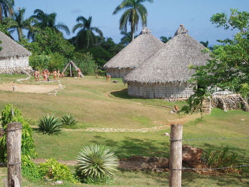 Reconstruction of a Taíno village in Cuba.Most Taíno lived in large circular dwellings called bohios