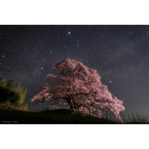 Sex Summer Triangles over Japan #nasa #apod #vega pictures