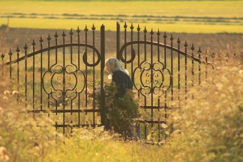 lamus-dworski: Collecting herbs. Region of Podlasie, eastern Poland. Photography © Podlaskie Kl