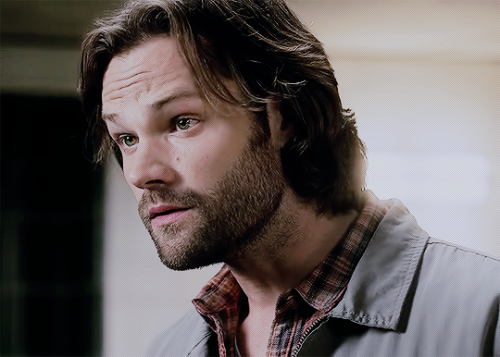 spnsamwinchester