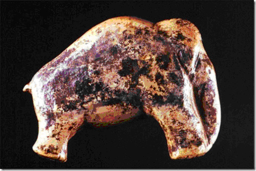 This woolly mammoth figurine was carved 35,000 years ago in Swabian Jura, in southwestern Germany. M