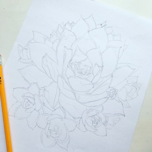 Drawing succulents while I watch the snow fall.