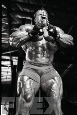 Jay Cutler