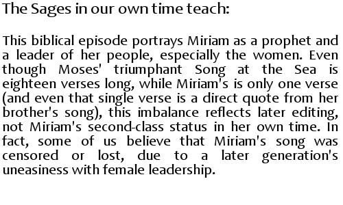 baruchobramowitz:The Five Books of Miriam: A Woman’s Commentary on the Torah by Ellen Frankel