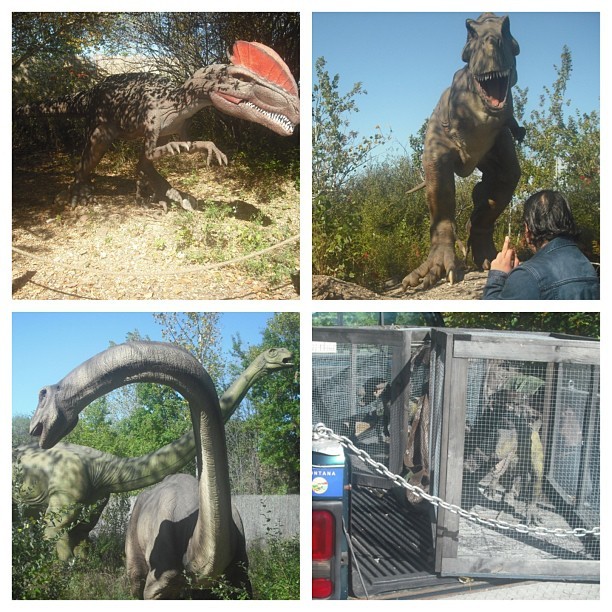 So I went to see dinosaurs  with a cute guy. @wasted_yuth #dinosaurs #newpets #cuties