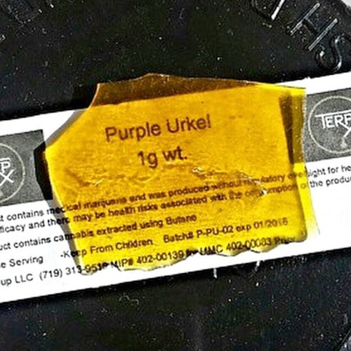 weedporndaily:Purple Urkle shatter (pictured) from @thehealthyconnections 🔥 photo by @boroorno by @terpxco