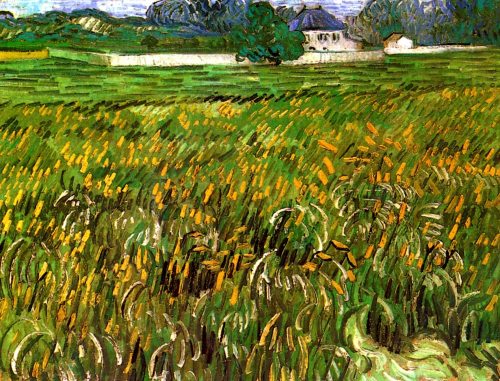 Wheat Field at Auvers with White House - Vincent van Gogh 1890Post-impressionism