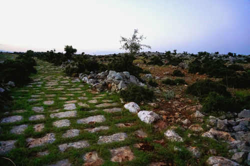 fuckyeaharchaeology:The Roman Road in Cilicia is the remains of an ancient road located near the cit