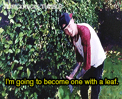 hchickrocks:  Kells becomes one with a leaf…like Avatar. 