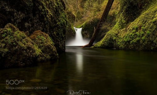 High Flow by DaniloFaria
