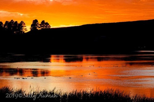 Pagosa Sunset by Sally Auman flic.kr/p/2hrgcg3
